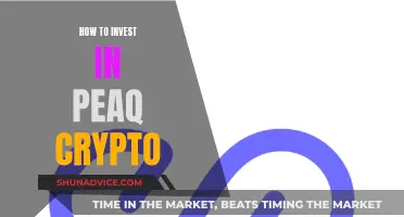 The Ultimate Guide to Investing in PEAQ Crypto