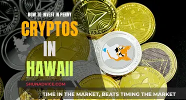 Penny Crypto Investing: A Guide for Hawaiians