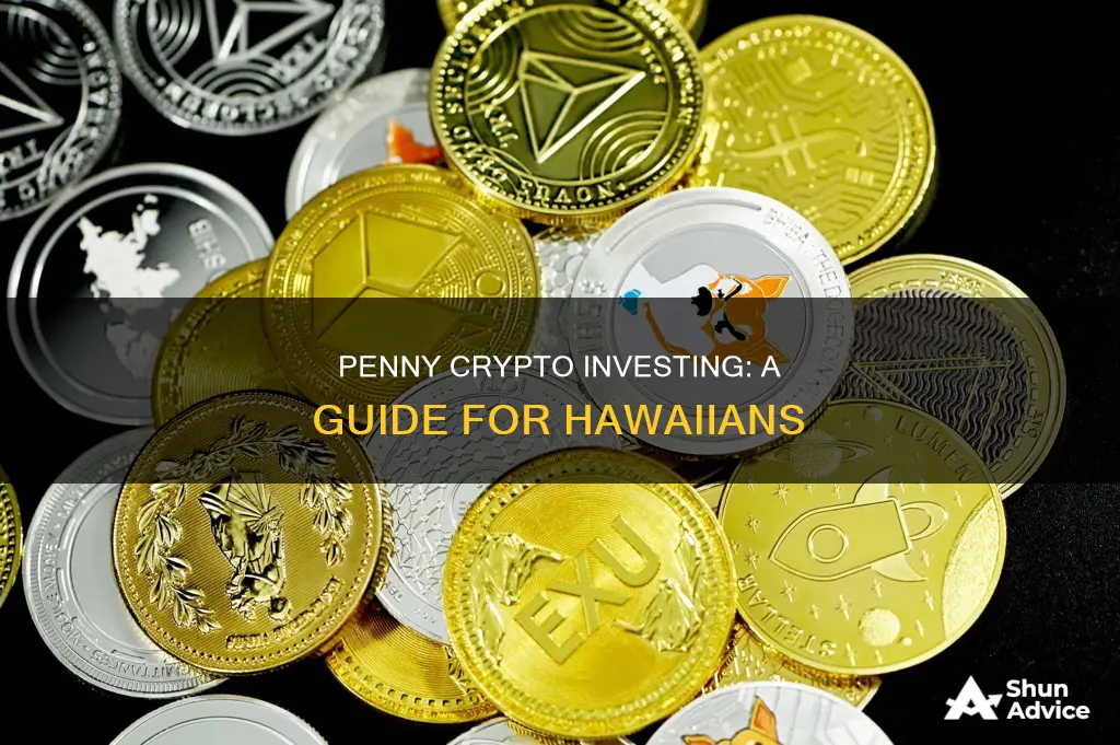 how to invest in penny cryptos in hawaii