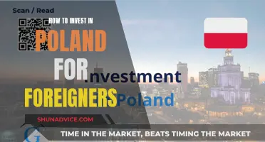 Unlocking Poland's Investment Potential: A Guide for Foreign Investors