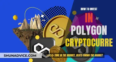 Polygon Cryptocurrency: A Beginner's Guide to Investing