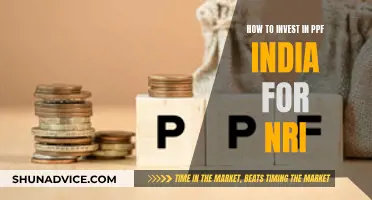 PPF Investment Guide for NRIs: A Secure Option