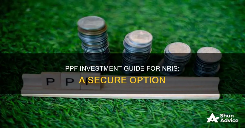 how to invest in ppf india for nri