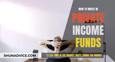 Strategies for Investing in Private Income Funds