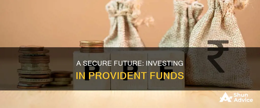 how to invest in provident fund