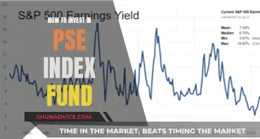 A Guide to Investing in the PSE Index Fund