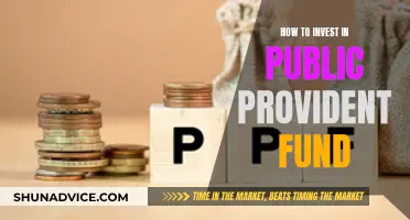 A Secure Future: Investing in Public Provident Funds