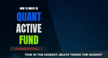 Quant Active Fund: Smart Investing Strategies for Beginners