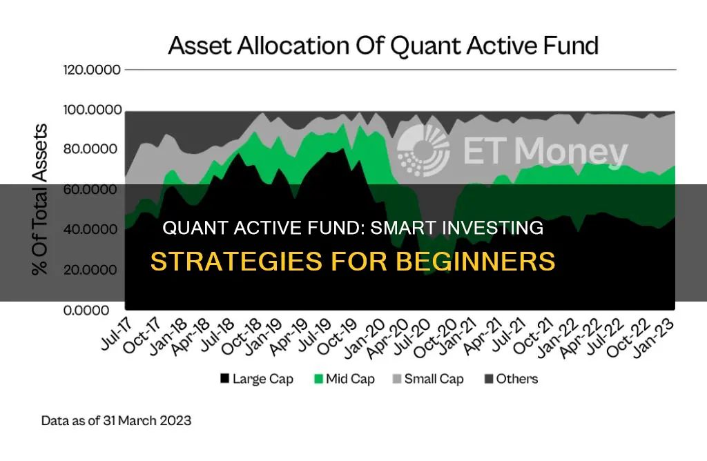 how to invest in quant active fund