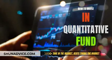 Quantitative Fund Investment: Strategies for Success