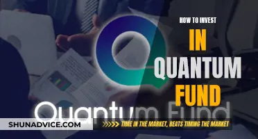 Quantum Fund Investment: Strategies for Success