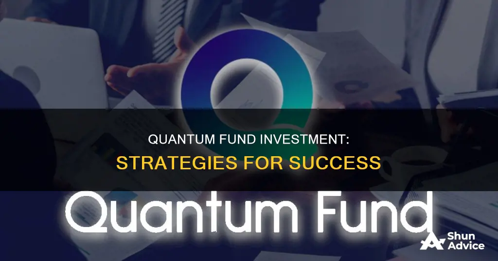 how to invest in quantum fund