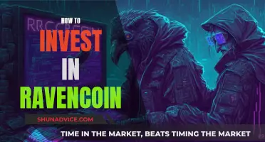 A Beginner's Guide to Investing in Ravencoin