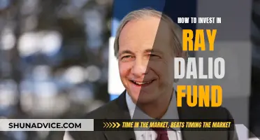 Strategies for Investing in Ray Dalio's Principles Fund