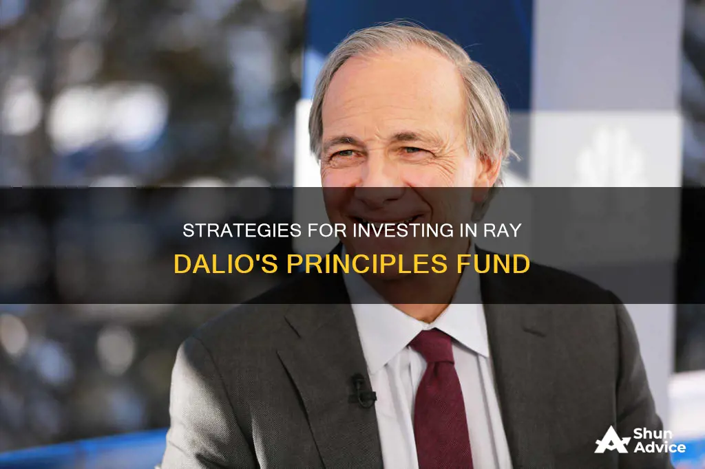 how to invest in ray dalio fund