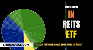 The Ultimate Guide to REITs ETF Investing