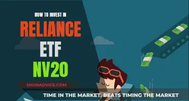 Reliance ETF NV20: A Comprehensive Investment Guide