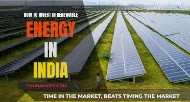 India's Guide to Investing in Renewable Energy Sources