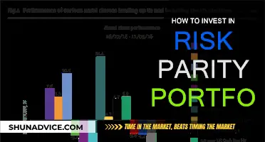 Risk Parity Portfolio: A Guide to Investing