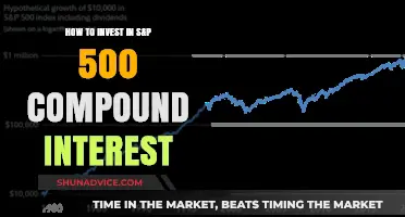 Unleash Wealth: Mastering S&P 500 Compound Interest Investing