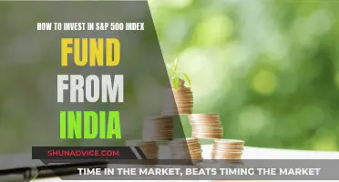 S&P 500 Index Fund: A Guide for Indian Investors