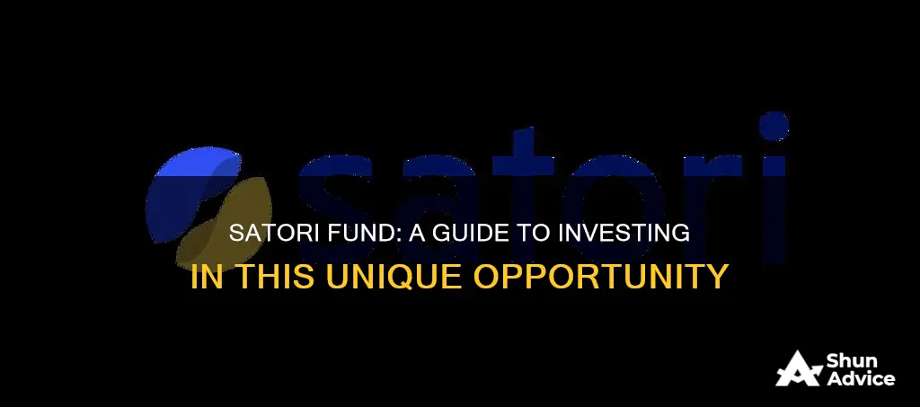 how to invest in satori fund