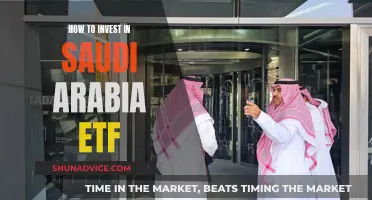 Saudi Arabia ETF: A Guide to Investing