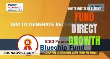 SBI Bluechip Fund: Direct Growth Investment Strategy