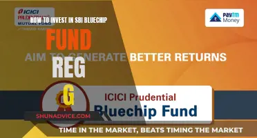 SBI Bluechip Fund: A Guide to Investing in Reg G