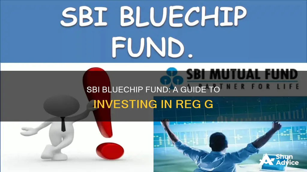 how to invest in sbi bluechip fund reg g