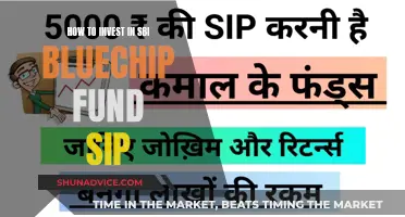 SBI Bluechip Fund SIP: Smart Investment Strategy