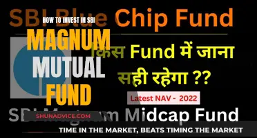 A Guide to Investing in SBI Magnum Mutual Funds