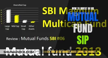 A Guide to Investing in SBI Mutual Fund SIPs