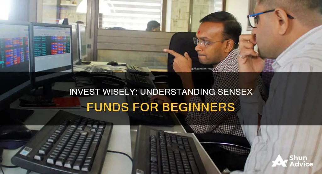 how to invest in sensex funds