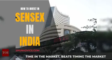 A Guide to Investing in India's Sensex Index