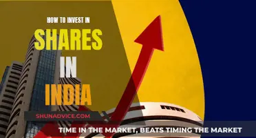 A Beginner's Guide to Investing in Indian Shares