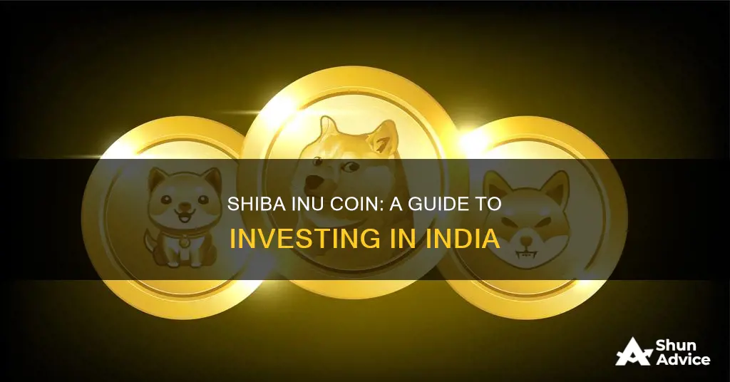 how to invest in shiba inu coin in india