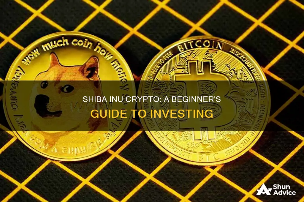 how to invest in shiba inu cryptocurrency