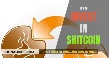 Shitcoin Investment: Strategies for the Brave Crypto Investor