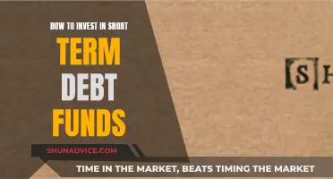 Short-Term Debt Funds: A Smart Investment Strategy