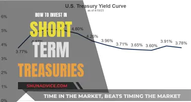 Unleash Short-Term Treasury Profits: A Beginner's Guide to Quick Wins