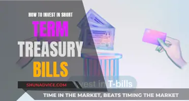 Unlock Short-Term Gains: A Beginner's Guide to Treasury Bills