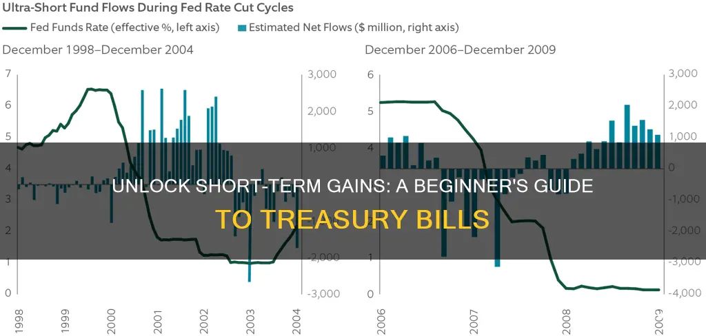 how to invest in short term treasury bills