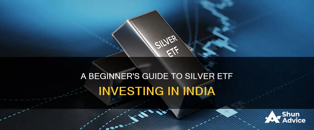 how to invest in silver etf in india