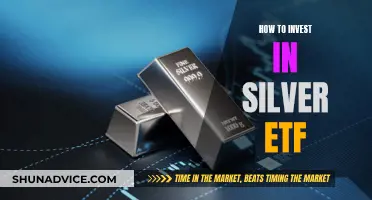 A Beginner's Guide to Silver ETF Investing