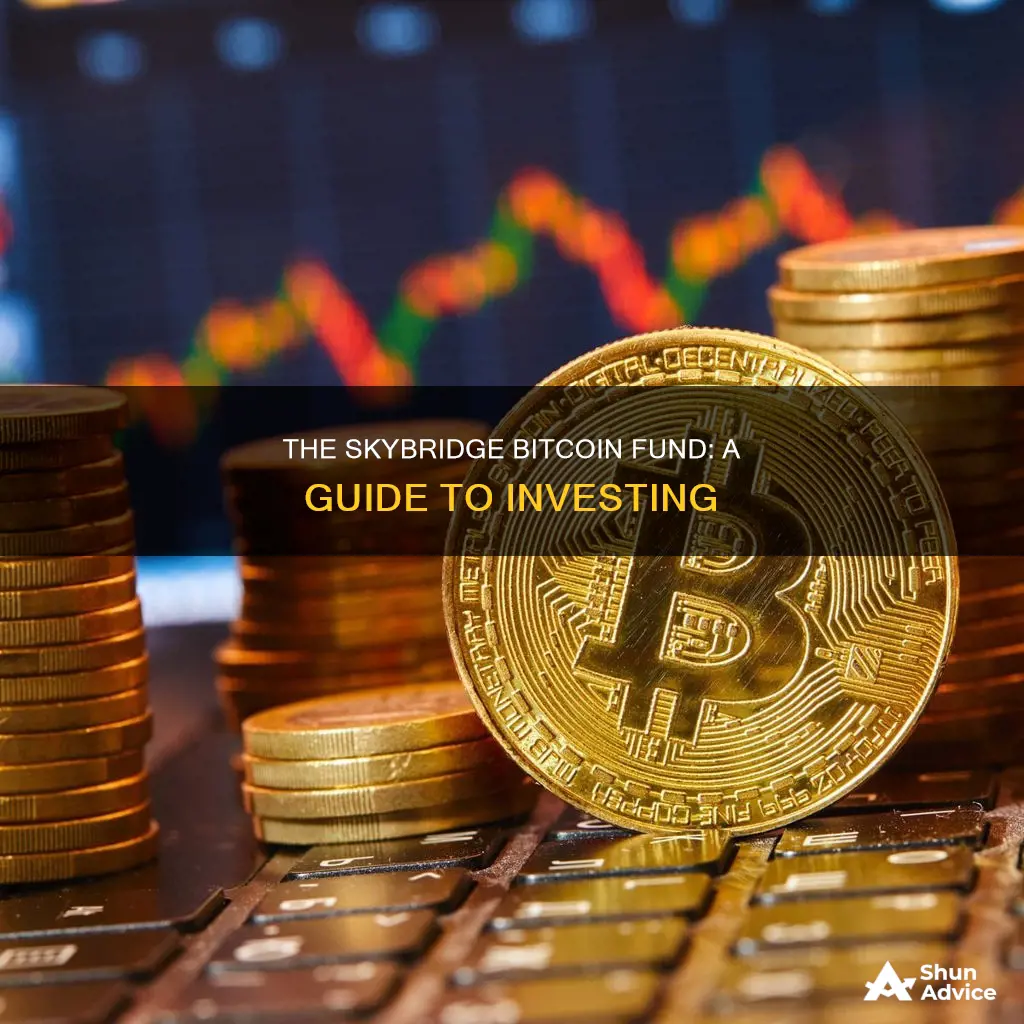 how to invest in skybridge bitcoin fund