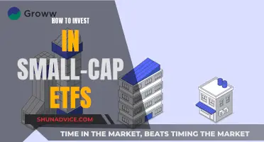 Small-Cap ETFs: A Guide to Investing Wisely