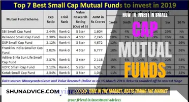 Small-Cap Mutual Funds: Strategies for Smart Investing