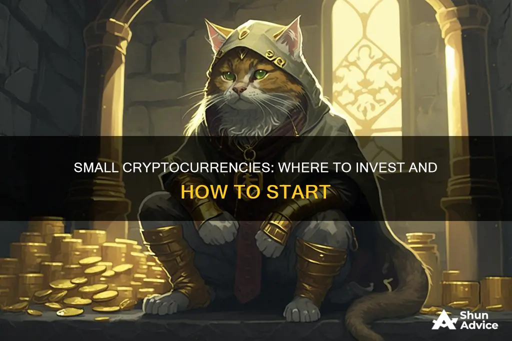 how to invest in small cryptocurrencies