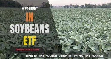 Soybean ETF: A Smart Investment Strategy